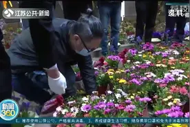 别样清明一样情！南京殡仪馆集体代祭，文明祭扫深入人心！视频封面