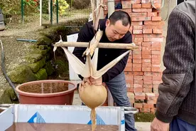 石屋虎哥大老粗，还能干着细活！100斤红薯能出多少粉？