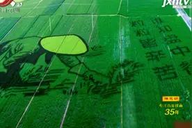 江西：绿色种养循环农业试点启动视频封面