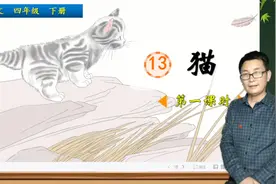 四年级下册语文《13.猫》第1课时，学习课文，学会抓住事物特点写视频封面