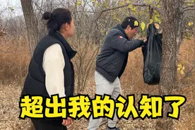 1个不寻常的黑袋子挂在树上，在哪来回动，小峰看后直接懵了视频封面