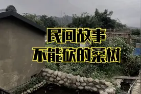 在乡下有一种说法，门前不能种桑树...视频封面