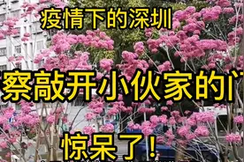 疫情下的深圳 警察敲开小伙家的门 惊呆了视频封面