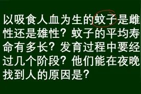百科问答：吸食人血的蚊子是雌性还是雄性？视频封面