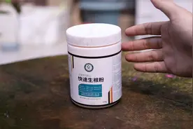 养花不生根怎么办？园艺师教你，用快速生根粉，大白根噌噌长出来
