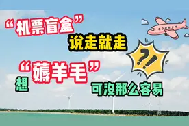 “机票盲盒”说走就走？想“薅羊毛”可没那么容易！视频封面