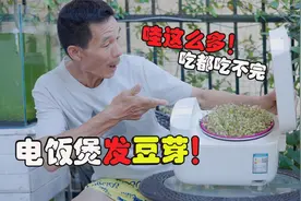 废旧的电饭煲用来发豆芽，豆芽吃都吃不完！你还需要去买吗视频封面