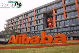 阿里P8员工1.6万月薪招聘私人助理！主管怒了：已辞退视频封面