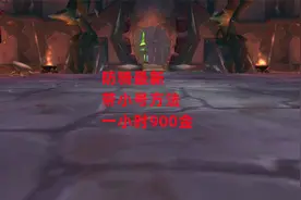 魔兽世界怀旧服：防骑最新带小号方法，一小时900金