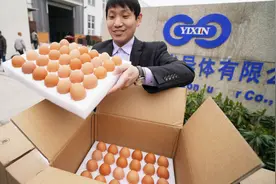 小伙手机上养小鸡被奖励1265个鸡蛋，一脸懵圈，转身送给养老院视频封面