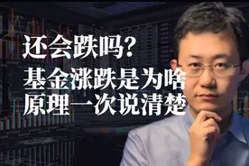 基金涨跌是为啥 原理一次说清楚视频封面