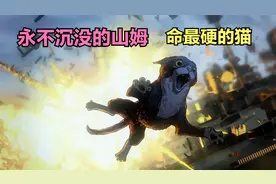 二战中永不沉没的猫咪，这是一个真实的故事。视频封面