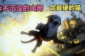 二战中永不沉没的猫咪，这是一个真实的故事。视频封面