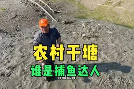 农村干塘！站在池里周围都是鱼，有啥办法一网打尽？视频封面