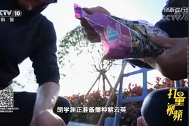 涨知识！为什么种植紫云英就能解决土壤板结的问题？|创新进行时视频封面