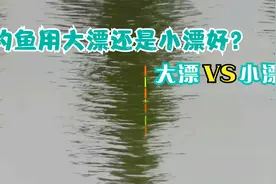小漂灵敏大漂好抛，钓鱼浮漂如何选择？这才是正确用漂方法！视频封面