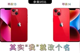 不敢对比！原来苹果13和14的参数几乎一样！视频封面