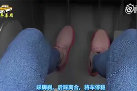 科目二五项考试   三维动画演示全解析视频封面