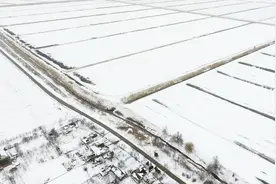 雪天小麦不担心，那如果暖冬怎们解救我们的麦子，看看专家说的。视频封面