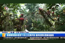 昆明植物园扶荔宫11月22日再开放 提供收费科普解说服务视频封面