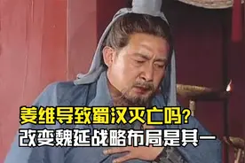 姜维导致蜀汉灭亡吗？改变魏延战略布局是其一视频封面