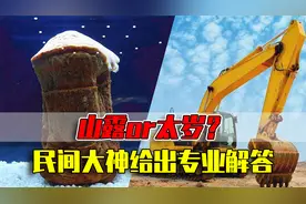 当挖机师傅从地里挖出神秘肉球！网友差点笑死在了评论区视频封面