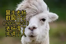 暴走老杨群聊日记（20220623）老杨得了先进个人视频封面