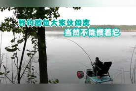 很久没有这种感觉啦！大鱼疯狂乱窜过程爆燃，围观钓友直呼真大视频封面