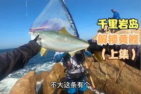 千里岩岸投路亚解锁黄鲣，这个鱼拉力真大，不愧黄建牛这个外号！视频封面