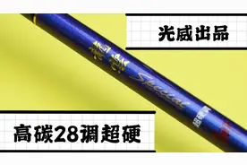 两百元能买高碳28调超硬鲫鱼竿？还是光威出品？视频封面