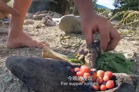 德爷搞吃合集（火焰龟+鳟鱼+罗非鱼，三叶草，酢浆草。荤素搭配）