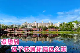 海南三亚这个农场条件不错，环境优美，还有个莲花池塘更美视频封面