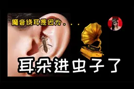 洗脑神曲单曲循环，竟然是虫子进了耳朵，揭秘耳虫