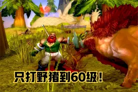 魔兽怀旧:只打野猪一种怪可以升到60级吗？