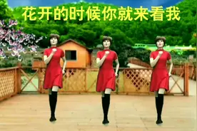 优美旋律广场舞【花开的时候你就来看我】简单欢快 32步附教学