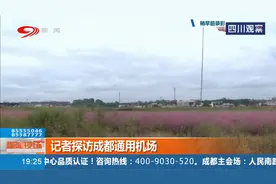 记者探访成都通用机场，看看通用机场与民用航空机场有什么不同视频封面