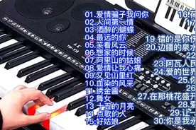 舒缓压力、愉悦心情：电子琴经典歌曲DJ版30首大联奏