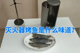 灭火器做的烤鱼别有风味，原来把灭火器改造成烤炉这么简单视频封面