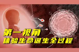 第一视角体验生命诞生全过程，从小蝌蚪到出生，原来这么不容易！