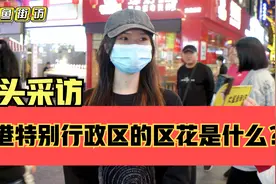 街头采访，香港特别行政区的区花是什么花？视频封面