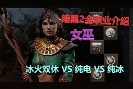 【女巫】亲闺女的正确姿势-新人上手指南【暗黑破坏神2重制版】