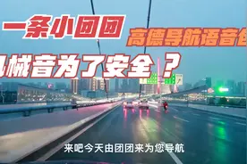 为什么一条小团团高德导航语音包有机械音？这个理由我觉得靠谱视频封面