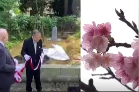 台媒渲染“台湾樱花植入靖国神社”，网友痛骂：觉得很光荣吗视频封面