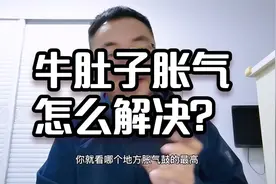 牛肚子胀气怎么办快速解决？牛肚子胀气最快治疗的办法
