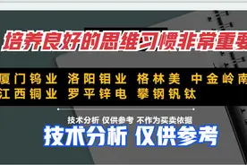 厦门钨业 洛阳钼业 格林美中金岭南 江西铜业 攀钢钒钛 全面分析视频封面