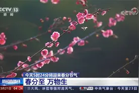 今天5时24分将迎来春分节气 春分至 万物生视频封面