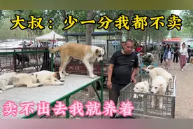 卖狗大爷外号“老犟驴”你敢砍价他就骂，卖不出去就养到死，真犟
