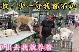 卖狗大爷外号“老犟驴”你敢砍价他就骂，卖不出去就养到死，真犟视频封面