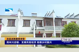 美了生态 富了百姓  荆州川店镇：发展民宿经济 助推乡村振兴视频封面