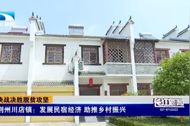 美了生态 富了百姓  荆州川店镇：发展民宿经济 助推乡村振兴视频封面